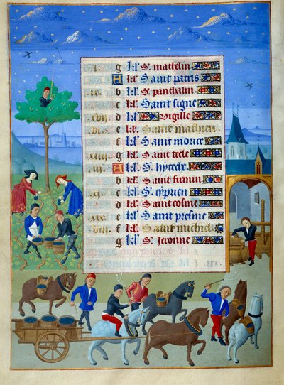 Grape Harvest and Transport Page from 