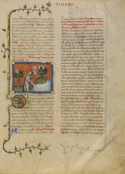 The Creation of Birds and Fishes by Master of Jean de Mandeville