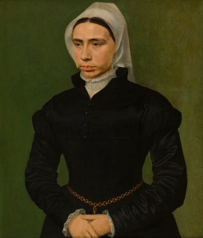 Portrait of a Lady by Master of the 1540s