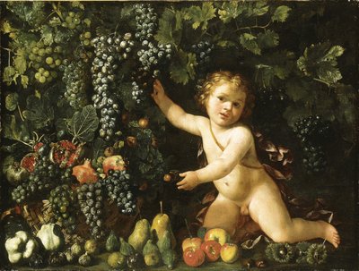 Grapes on the vine, pomegranates, grapes, and rosehips in a basket, with figs, apples, pears and chestnuts by a putto by Master of the Acquavella Still Life