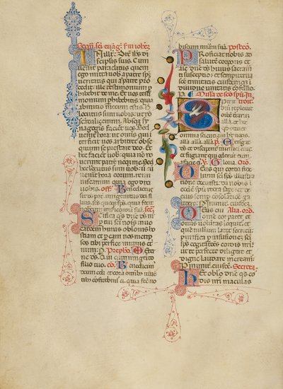 Initial S: The Dove of the Holy Spirit by Master of the Brussels Initials