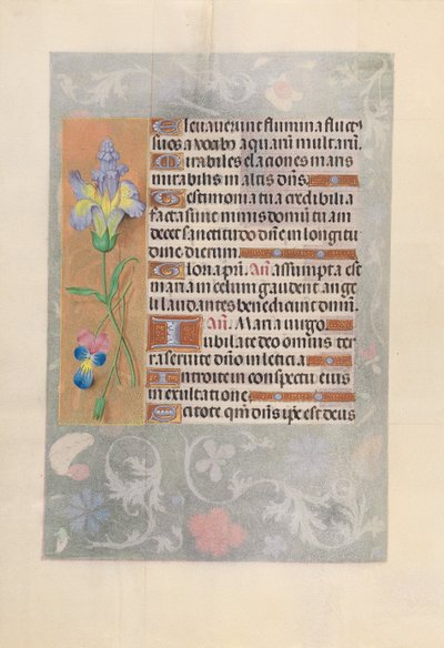 Hours of Queen Isabella the Catholic, Queen of Spain: Fol. 116v by Master of the First Prayerbook of Maximillian