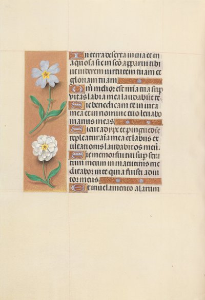 Hours of Queen Isabella the Catholic, Queen of Spain: Fol. 117v by Master of the First Prayerbook of Maximillian