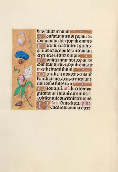 Hours of Queen Isabella the Catholic, Queen of Spain: Fol. 118v by Master of the First Prayerbook of Maximillian