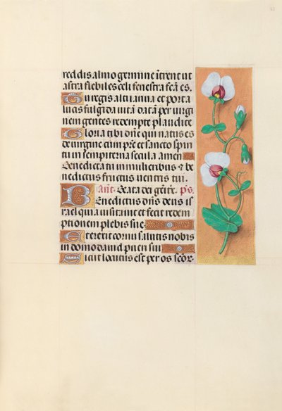 Hours of Queen Isabella the Catholic, Queen of Spain: Fol. 123r by Master of the First Prayerbook of Maximillian
