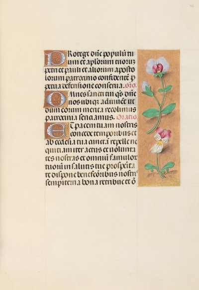 Hours of Queen Isabella the Catholic, Queen of Spain: Fol. 125r by Master of the First Prayerbook of Maximillian