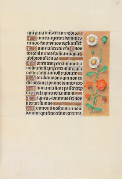 Hours of Queen Isabella the Catholic, Queen of Spain by Master of the First Prayerbook of Maximillian