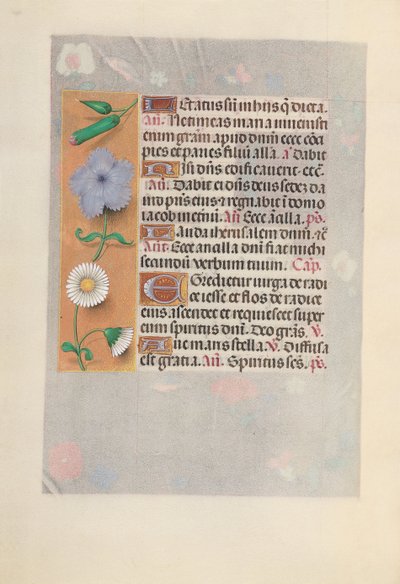 Hours of Queen Isabella the Catholic, Queen of Spain: Fol. 160v by Master of the First Prayerbook of Maximillian