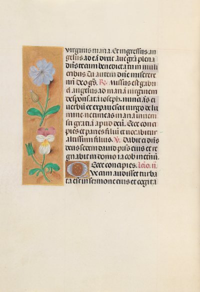 Hours of Queen Isabella the Catholic, Queen of Spain: Fol. 162v by Master of the First Prayerbook of Maximillian