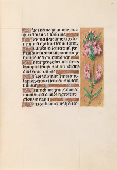 Hours of Queen Isabella the Catholic, Queen of Spain: Fol. 207r by Master of the First Prayerbook of Maximillian
