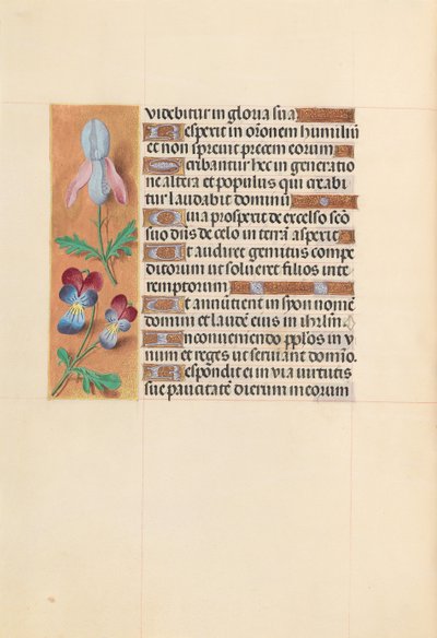 Hours of Queen Isabella the Catholic, Queen of Spain: Fol. 207v, c. 1500 by Master of the First Prayerbook of Maximillian