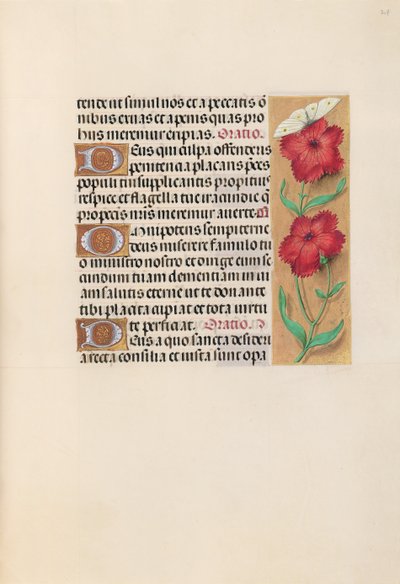 Hours of Queen Isabella the Catholic, Queen of Spain: Fol. 217r by Master of the First Prayerbook of Maximillian