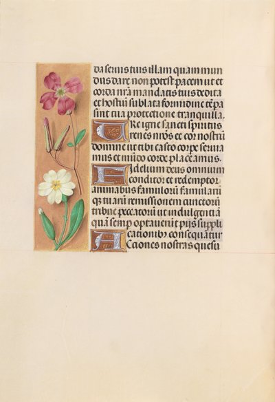 Hours of Queen Isabella the Catholic, Queen of Spain: Fol. 217v by Master of the First Prayerbook of Maximillian