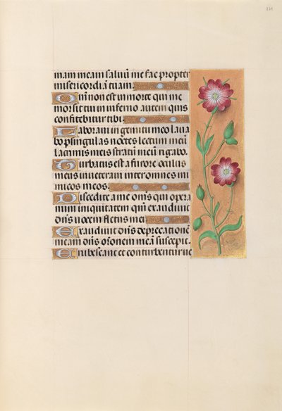 Hours of Queen Isabella the Catholic, Queen of Spain: Fol. 229r by Master of the First Prayerbook of Maximillian