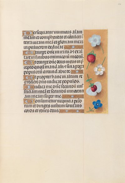 Hours of Queen Isabella the Catholic, Queen of Spain: Fol. 230r by Master of the First Prayerbook of Maximillian