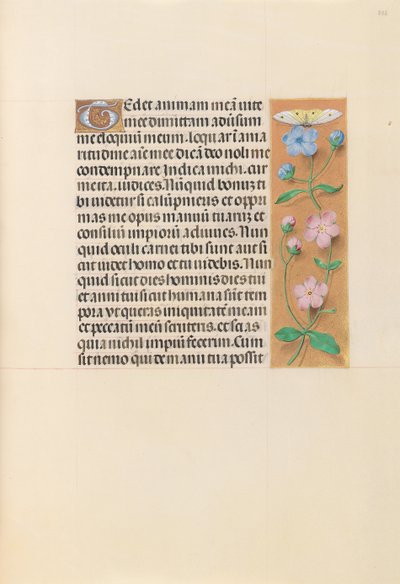 Hours of Queen Isabella the Catholic, Queen of Spain: Fol. 232r by Master of the First Prayerbook of Maximillian