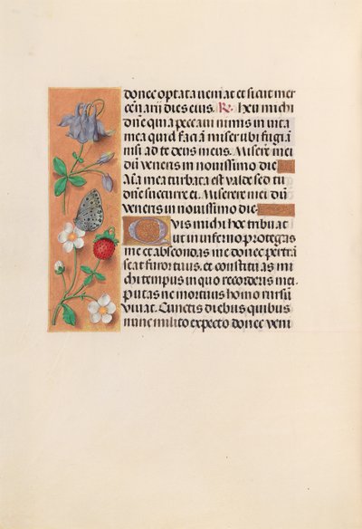 Hours of Queen Isabella the Catholic, Queen of Spain: Fol. 238v by Master of the First Prayerbook of Maximillian