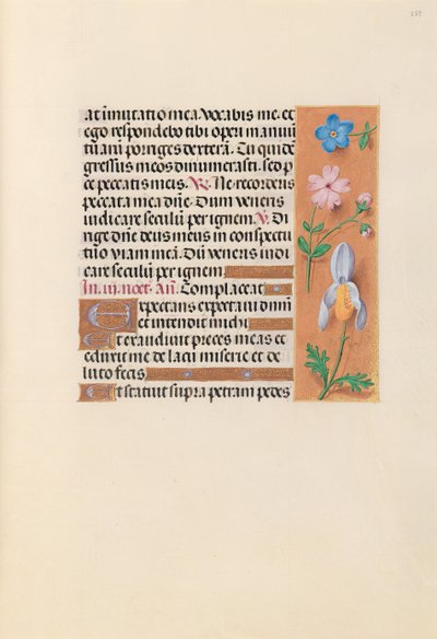 Hours of Queen Isabella the Catholic, Queen of Spain: Fol. 239r, c. 1500 by Master of the First Prayerbook of Maximillian