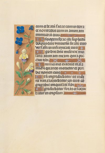 Hours of Queen Isabella the Catholic, Queen of Spain: Fol. 241v by Master of the First Prayerbook of Maximillian