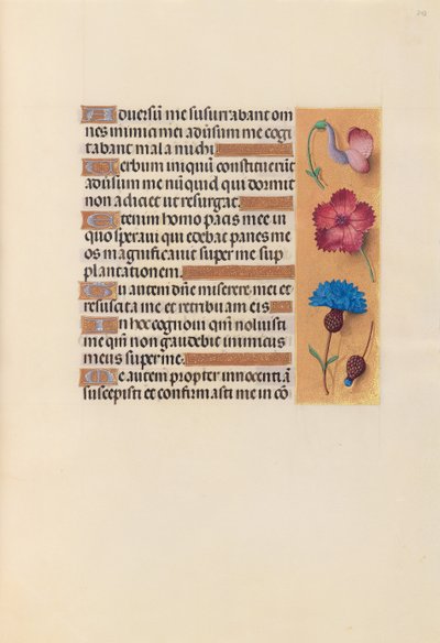 Hours of Queen Isabella the Catholic, Queen of Spain: Fol. 242r, c. 1500 by Master of the First Prayerbook of Maximillian