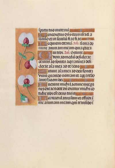 Hours of Queen Isabella the Catholic, Queen of Spain: Fol. 242v by Master of the First Prayerbook of Maximillian