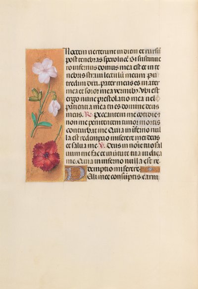 Hours of Queen Isabella the Catholic, Queen of Spain: Fol. 244v by Master of the First Prayerbook of Maximillian