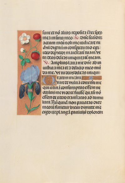 Hours of Queen Isabella the Catholic, Queen of Spain: Fol. 245v by Master of the First Prayerbook of Maximillian