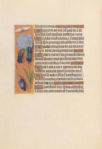 Hours of Queen Isabella the Catholic, Queen of Spain: Fol. 247v, c. 1500 by Master of the First Prayerbook of Maximillian