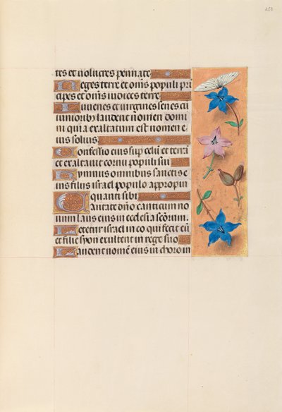 Hours of Queen Isabella the Catholic, Queen of Spain: Fol. 253r, c1500 by Master of the First Prayerbook of Maximillian