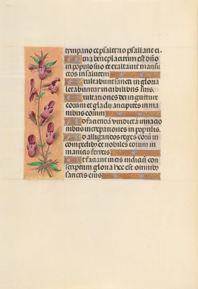 Hours of Queen Isabella the Catholic, Queen of Spain: Fol. 253v by Master of the First Prayerbook of Maximillian