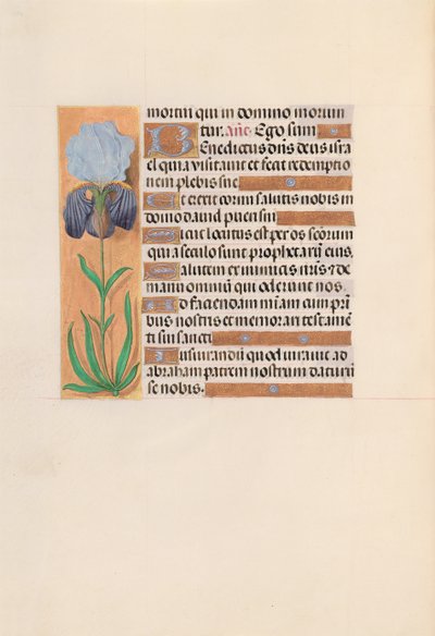 Hours of Queen Isabella the Catholic, Queen of Spain: Fol. 254v by Master of the First Prayerbook of Maximillian