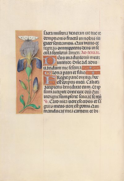 Hours of Queen Isabella the Catholic, Queen of Spain: Fol. 45v, c. 1500 by Master of the First Prayerbook of Maximillian