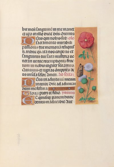 Hours of Queen Isabella the Catholic, Queen of Spain: Folio 46r by Master of the First Prayerbook of Maximillian