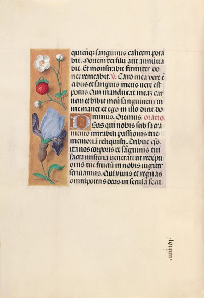 Hours of Queen Isabella the Catholic, Queen of Spain: Fol. 46v, c. 1500 by Master of the First Prayerbook of Maximillian