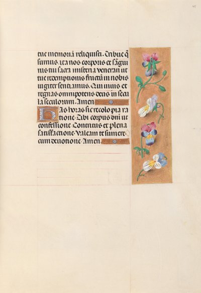 Hours of Queen Isabella the Catholic, Queen of Spain: Fol. 49r by Master of the First Prayerbook of Maximillian