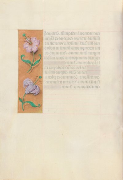 Hours of Queen Isabella the Catholic, Queen of Spain: Fol. 49v, c. 1500 by Master of the First Prayerbook of Maximillian