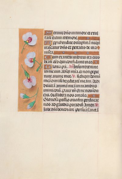 Hours of Queen Isabella the Catholic, Queen of Spain: Fol. 53v by Master of the First Prayerbook of Maximillian