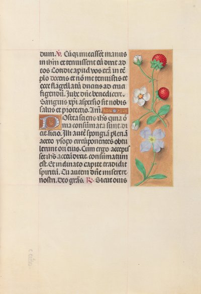 Hours of Queen Isabella the Catholic, Queen of Spain: Fol. 55r by Master of the First Prayerbook of Maximillian