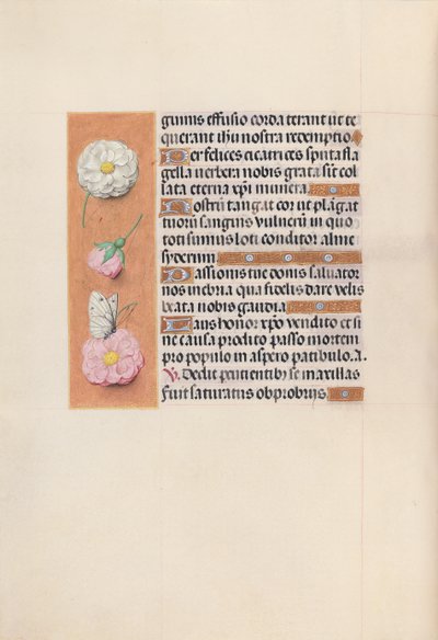 Hours of Queen Isabella the Catholic, Queen of Spain by Master of the First Prayerbook of Maximillian