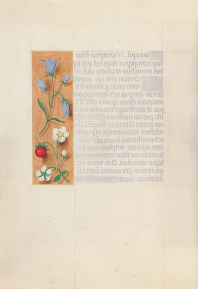 Hours of Queen Isabella the Catholic, Queen of Spain: Fol. 60v, c. 1500 by Master of the First Prayerbook of Maximillian