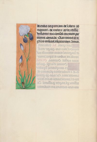 Hours of Queen Isabella the Catholic, Queen of Spain: Fol. 79v, c. 1500 by Master of the First Prayerbook of Maximillian