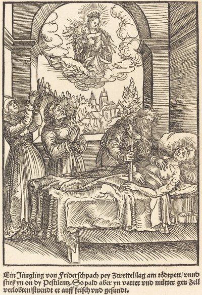 A Young Man from Friderschpach by Master of the Miracles of Mariazell