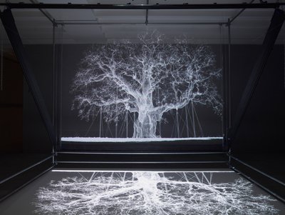 Albion, 2017 by Mat Collishaw