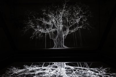 Albion by Mat Collishaw