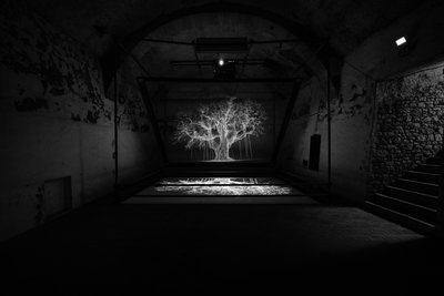 Albion by Mat Collishaw