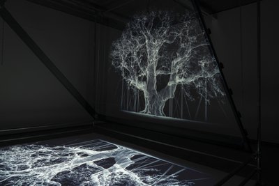 Albion by Mat Collishaw