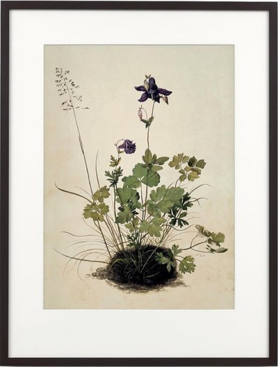 Columbine, 2018 by Mat Collishaw