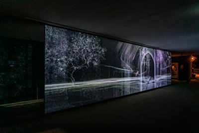 Echolocation, 2021 by Mat Collishaw