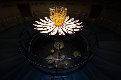 Equinox by Mat Collishaw