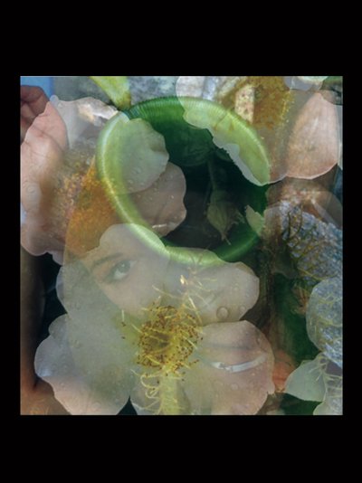 Flesheaters 2 by Mat Collishaw